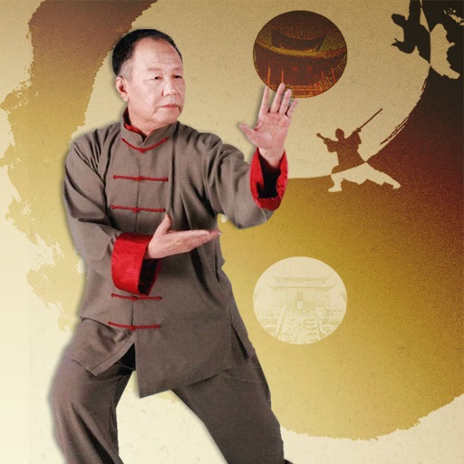 Taiji Kungfu icon