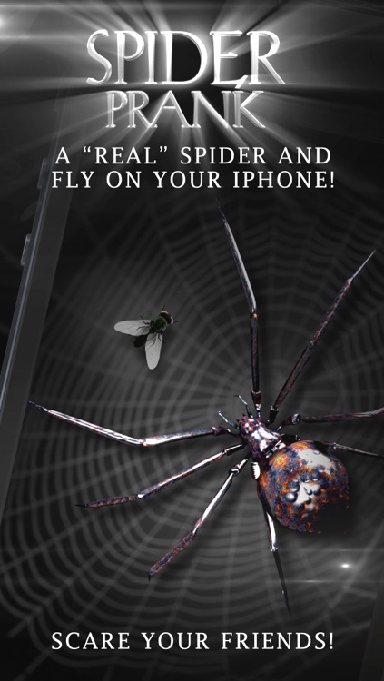Spider Prank