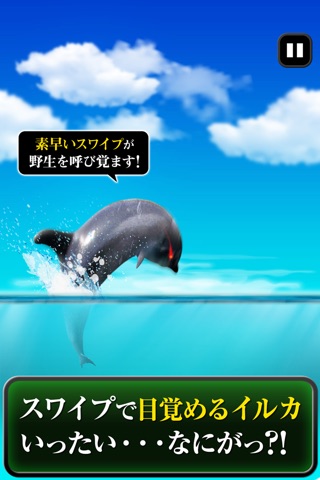 Can Dolphin Stand? screenshot 2