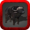 American Bison Hunting 2014 Pro