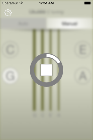 Strings Tuner screenshot 4