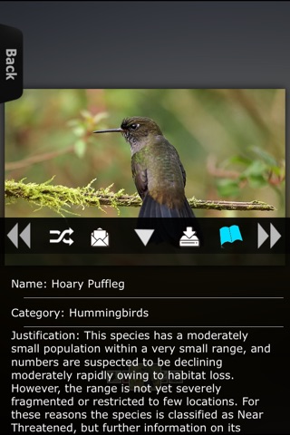 Hummingbirds Info screenshot 4