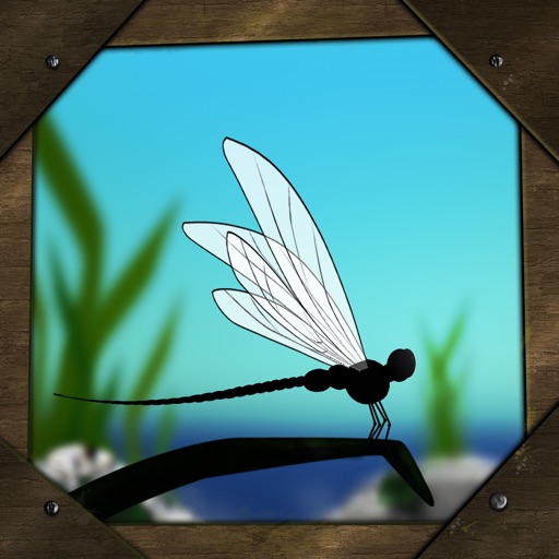 BLACK Dragonfly - Shoot ’em up Game Icon