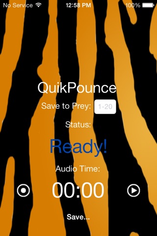 Tuneful Tiger screenshot 2