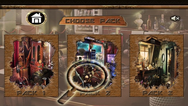 Hidden Object:The Last Show