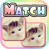 Cute Kitten Match HD - Kids Memory Game