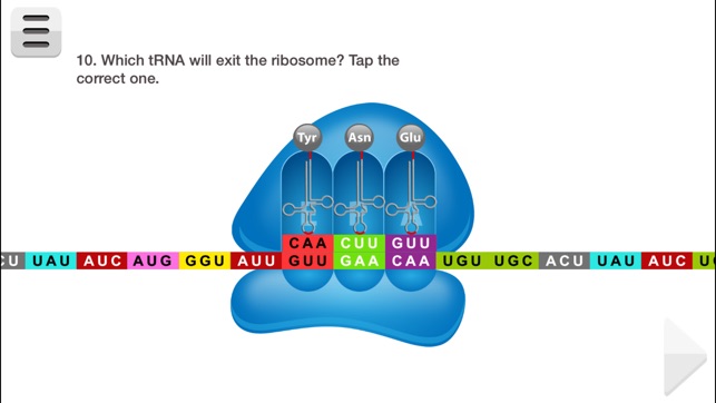 FCS Biology Molecular Genetics (Lite)(圖4)-速報App