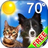 Puppy & Kitty Weather Clock Craze FREE - With Doggy Date and Temperature