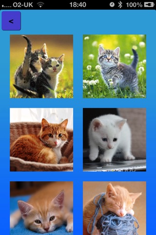 Cat Scramblers - a tile puzzle with cute kitty pictures! screenshot 2