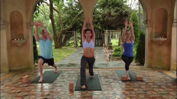Yoga Master Class screenshot-3