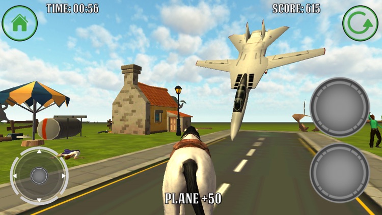 Horse Simulator screenshot-3