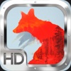 Fox Hunter: Hunting Frenzy 2014
