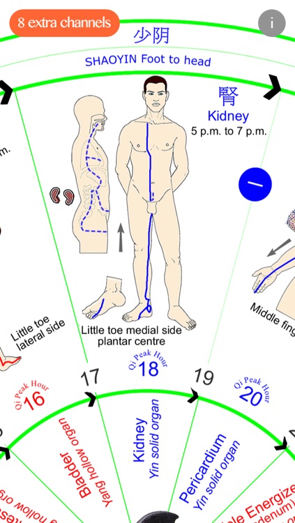 Daily Qi-Flow Circuit