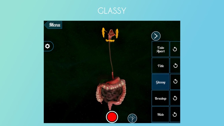VR Human Digestive System screenshot-4