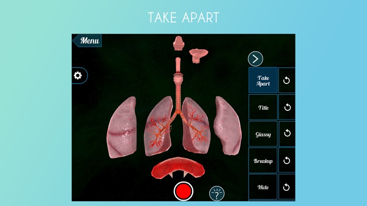 Virtual Reality(VR)Human Lungs