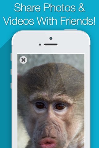 Talking Animals Face Cam Free screenshot 3