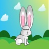 Bouncing Bunny