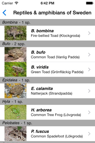 Reptiles and Amphibians of Sweden screenshot 4