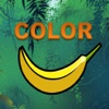 Jungle Color Book - Animals Color Drawing Fun for Kids and all the Family HD