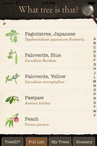 Arbor Day Tree Identification Guide: What Tree ... screenshot 4