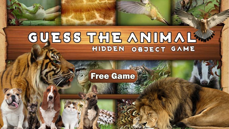 Guess the animal hidden mystery