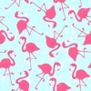 Flamingo Pattern Wallpapers HD: Quotes Backgrounds with Design Pictures