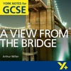 A View from the Bridge York Notes GCSE