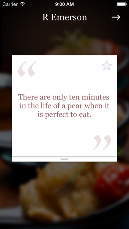 Foodie Pocket Quotes