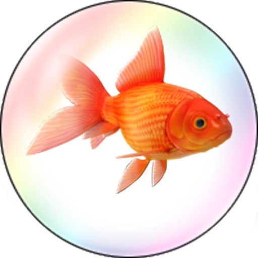 FISHY BUBBLE iOS App