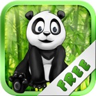 Panda Run In The Jungle Free - Can You Hop To The Finish?