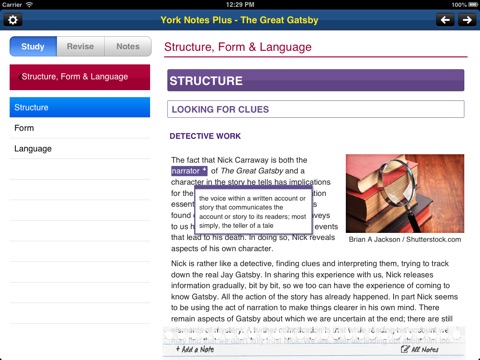 The Great Gatsby York Notes AS and A2 for iPad screenshot 3