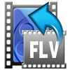 FLV Converter