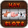 Hay Slots