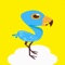 Flying Bird vs Hi-Heels ~ Flip Flop Blue Bird Journey!