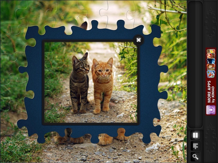 Jigsaw Puzzles: Funny Cats