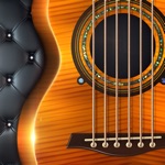 Pearl Guitar