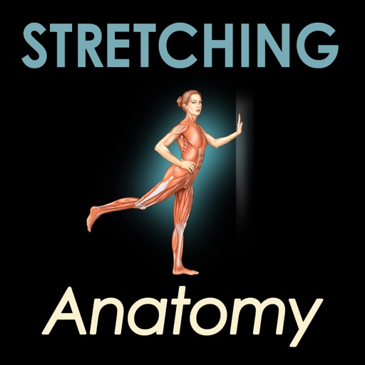 Stretching Anatomy icon
