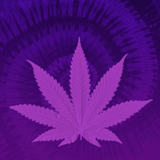 Strains Pro 2