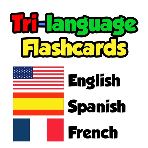 Flashcards English Spanish French By Darren Gates