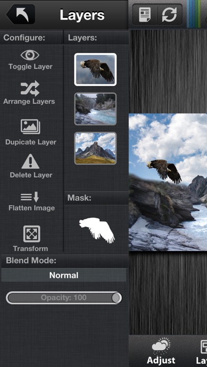 Laminar Pro - Image Editor screenshot-3