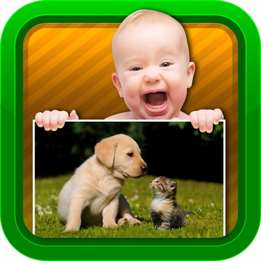 Baby Video - Animals icon