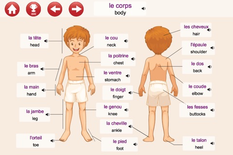 Learn French: Listen, Speak and Play (Discovery) screenshot 2