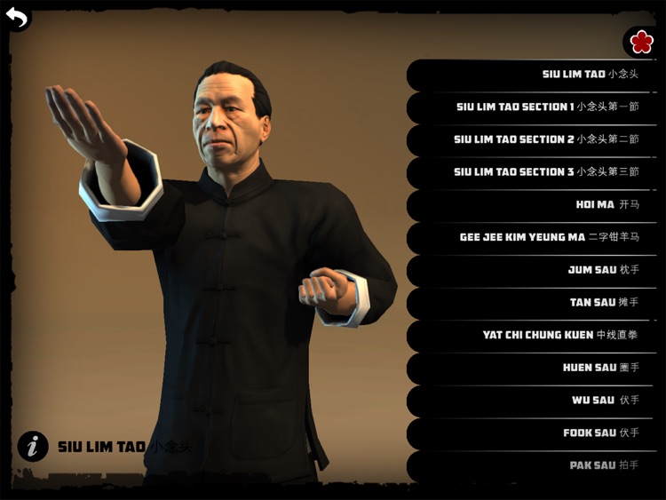 Ip Man Wing Chun Kung Fu : Siu Lim Tao HD