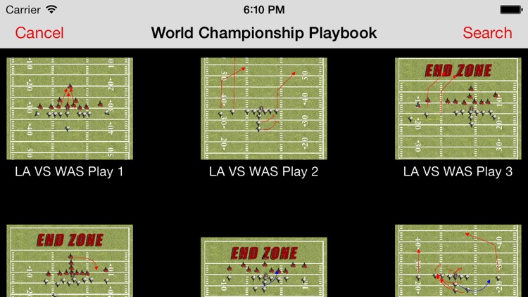 Tom Flores World Championship Playbook