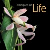Biology Flashcards for Principles of Life, Second Edition