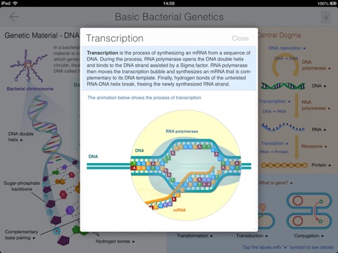 Bacteria Guide screenshot 3