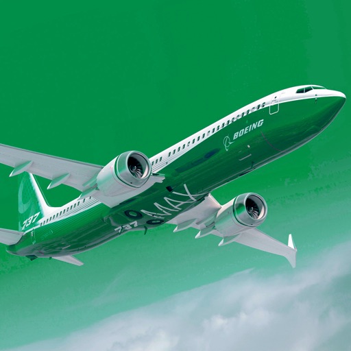 737-900 Performance Calculations