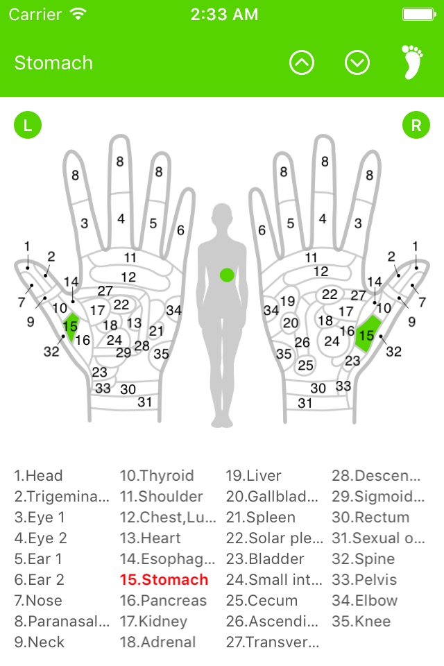 Reflexology Chart (Foot & Hand) screenshot 3