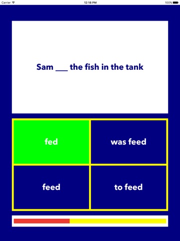 English Grammar Quiz Past Simple Tense screenshot 2