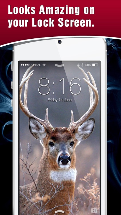 HD Deer Hunting Lock Screens & Wallpapers screenshot-3